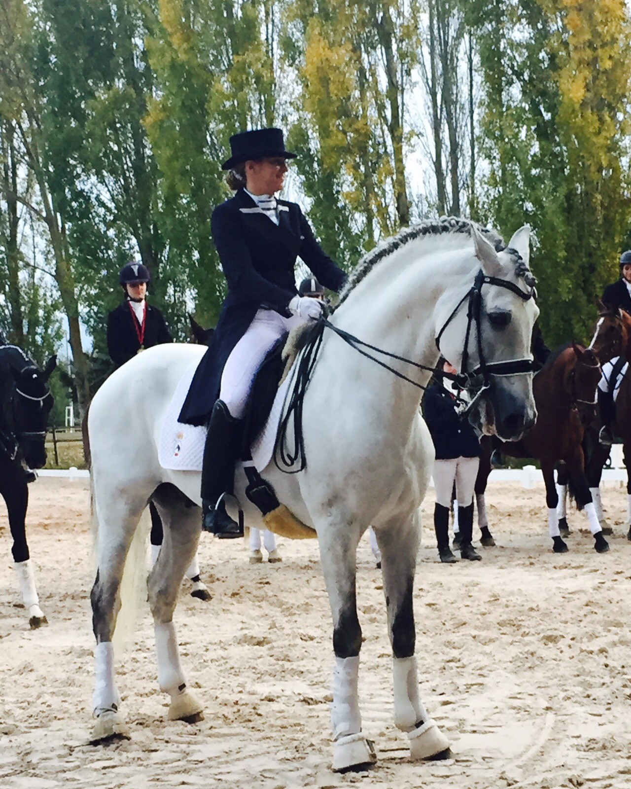 Resultados Finales Campeonato Navarro de Doma Clásica 2015